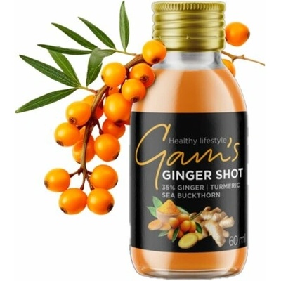 Gam's Zázvor Shot Kurkuma & Rakytník 60 ml