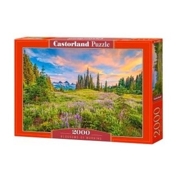 Castorland Puzzle 2000 pieces Blossoms of Morning