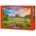 Castorland Puzzle 2000 pieces Blossoms of Morning