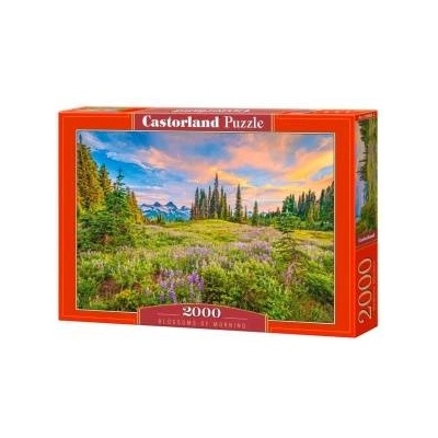 Castorland Puzzle 2000 pieces Blossoms of Morning