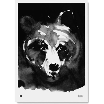 Teemu Järvi Plakát s motivem medvěda Mysterious bear 50x70