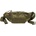 Brandit Molle