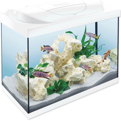 Tetra Starter Line LED set bílý 61 x 32 x 51 cm 80 l