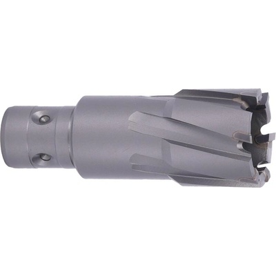 ABSE N-CA-F18-0300035