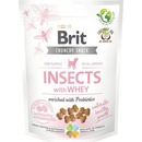Pamlsky pro psy Brit Care Dog Crunchy Cracker Puppy Insects with Whey enriched with Probiotics 200 g