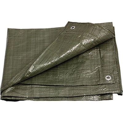 Euro nářadí 125180Q Plachta zakrývací EKONOMIK 2 x 3 m 55 g/m² zelená – Sleviste.cz