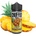 Chuffed Fruits Juicy Pineapple 24ml/120ml