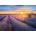 Nathan - Puzzle Collection French Regions - Lavender Route, Valensole - 500 piese