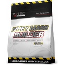 Hi Tec Whey Mass Builder 3000 g