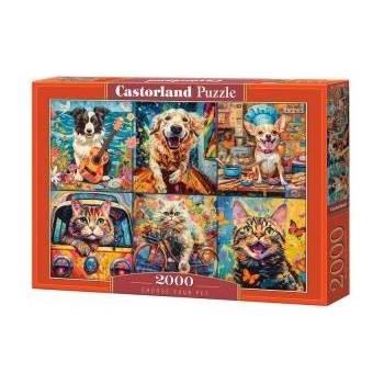Castorland Choose Your Pet 2000 Piece Puzzle
