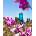 Nalgene WM Sustain Бутилка за пиене 1 л cerulean (078667)