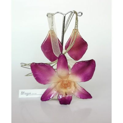 Meganflo Комплект орхидея Дендробиум - 3DeLux