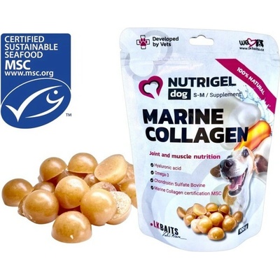 LK Baits Pet Nutrigel Dog Marine Collagen S M100 g