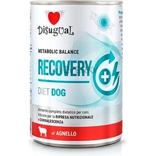 Disugual Dog vet diet Recovery Jahňa 400 g