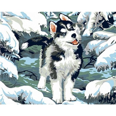 Zuty Malování podle čísel Malý husky 50 x 40 cm vypnuté plátno na rám