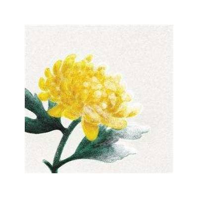 Various Artists - Spring Snow LP