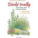 Divoké trvalky