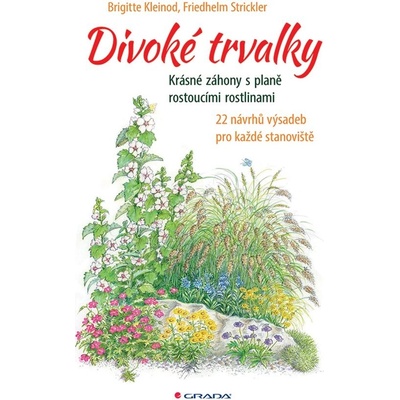 Divoké trvalky