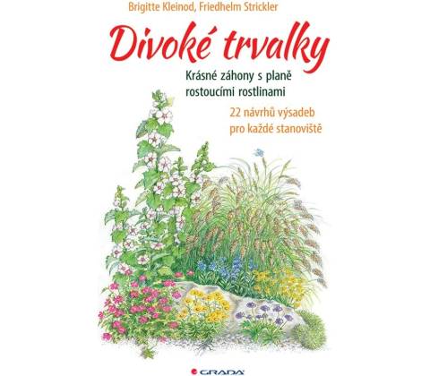 Divoké trvalky