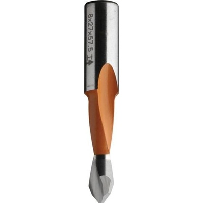 IGM C31305041