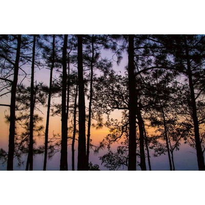 Dimex MS-5-1896 Vliesová fototapeta Thajský park rozměry 375 x 250 cm