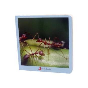 Image 1 of Animalitos | DAVID MARTIN MARTINEZ