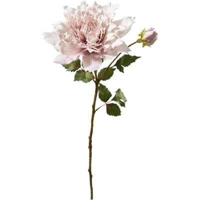 Florissima! Dahlia 66 cm lila - Florissima