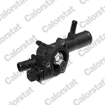 Termostat, chladivo CALORSTAT by Vernet TH6666.89J