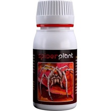 Spider Plant 60ml