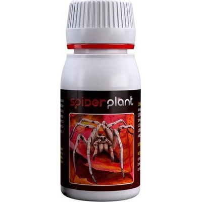 Spider Plant 60ml