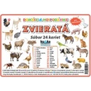 Kupka Petr Súbor 24 kariet - zvieratá domáce a hospodárske