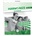 Harmonize Starter Workbook