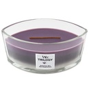WoodWick Trilogy Amethyst Sky 453,6 g