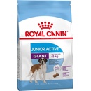 Krmivo pre psov Royal Canin Medium Ageing 10+ 2 x 15 kg