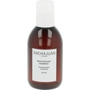 Sachajuan Moisturizing Shampoo 250 ml