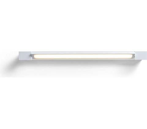 Rendl R13555