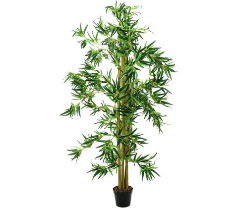 Bambus multi kmen 210 cm