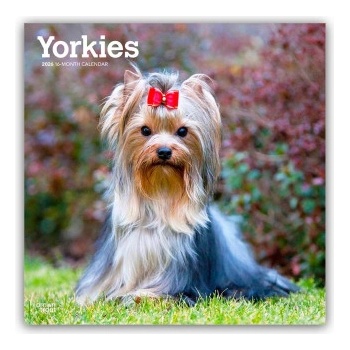 Browntrout Verlags GmbH Yorkshire Terriers - Yorkshire Terrier - Yorkies 2026 - 16-Monatskalender