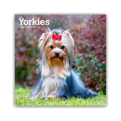 Browntrout Verlags GmbH Yorkshire Terriers - Yorkshire Terrier - Yorkies 2026 - 16-Monatskalender | BrownTrout Publishers Inc