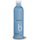 Broaer b2 Anti Dandruff šampón proti lupinám 250 ml