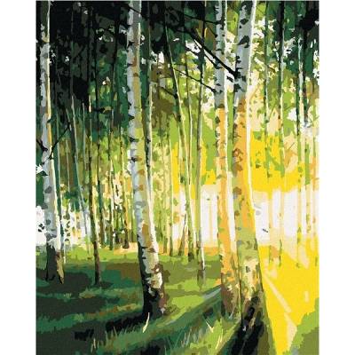 zuty Malování Podle Čísel Břízy V Prosvětleném Lese 80 x 100 Cm Plátno Rám