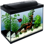 Tetra Aquarium Starter Line LED - оборудван аквариум 80 литра, 61 x 32 x 51 см