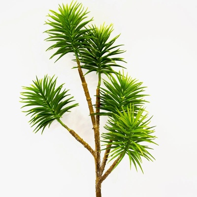 Sukulent - Succulent Kirk x5 zelený V68 cm