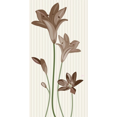 Dimex S-334 vliesová fototapeta na zeď Flowers brown rozměry 110 x 220 cm