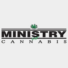 Ministry of Cannabis Mandarin Haze semena neobsahují THC 5 ks