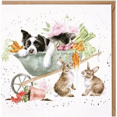Přání Wrendale Designs "Sleeping on the Job", 15x15 cm - Pes a králíci