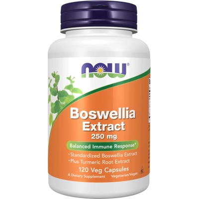 Now Foods Boswellia Extract Plus Turmeric Root Extract 250mg 120 kapsúl