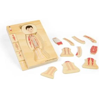 ΩBigjigs Toys Drevené puzzle Anatóm chlapec