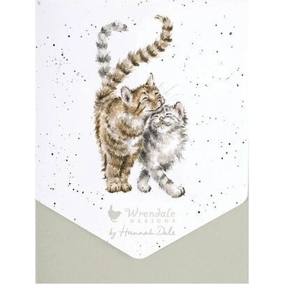 Sada prianí s obálkou "Feline Good" 8 ks Wrendale Designs - mačičky