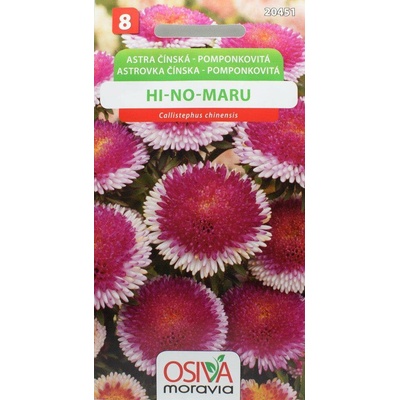 Astra čínská pomponkovité Hi-no-Maru